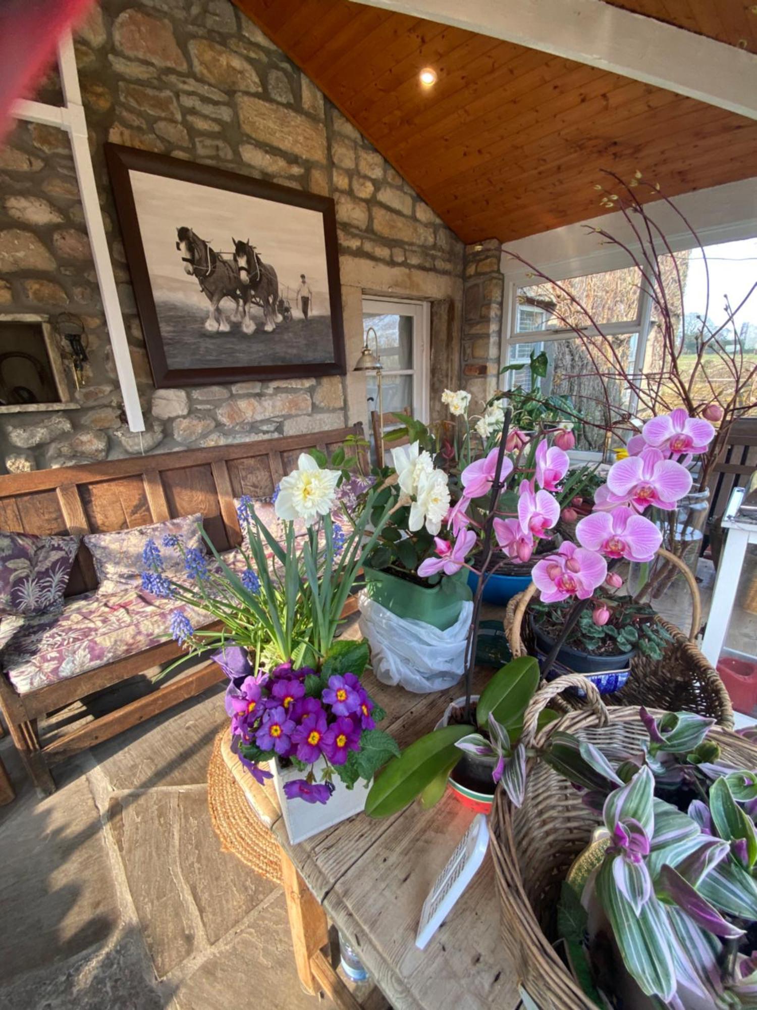 וודינגטון Chapel Cottage Clitheroe Road מראה חיצוני תמונה