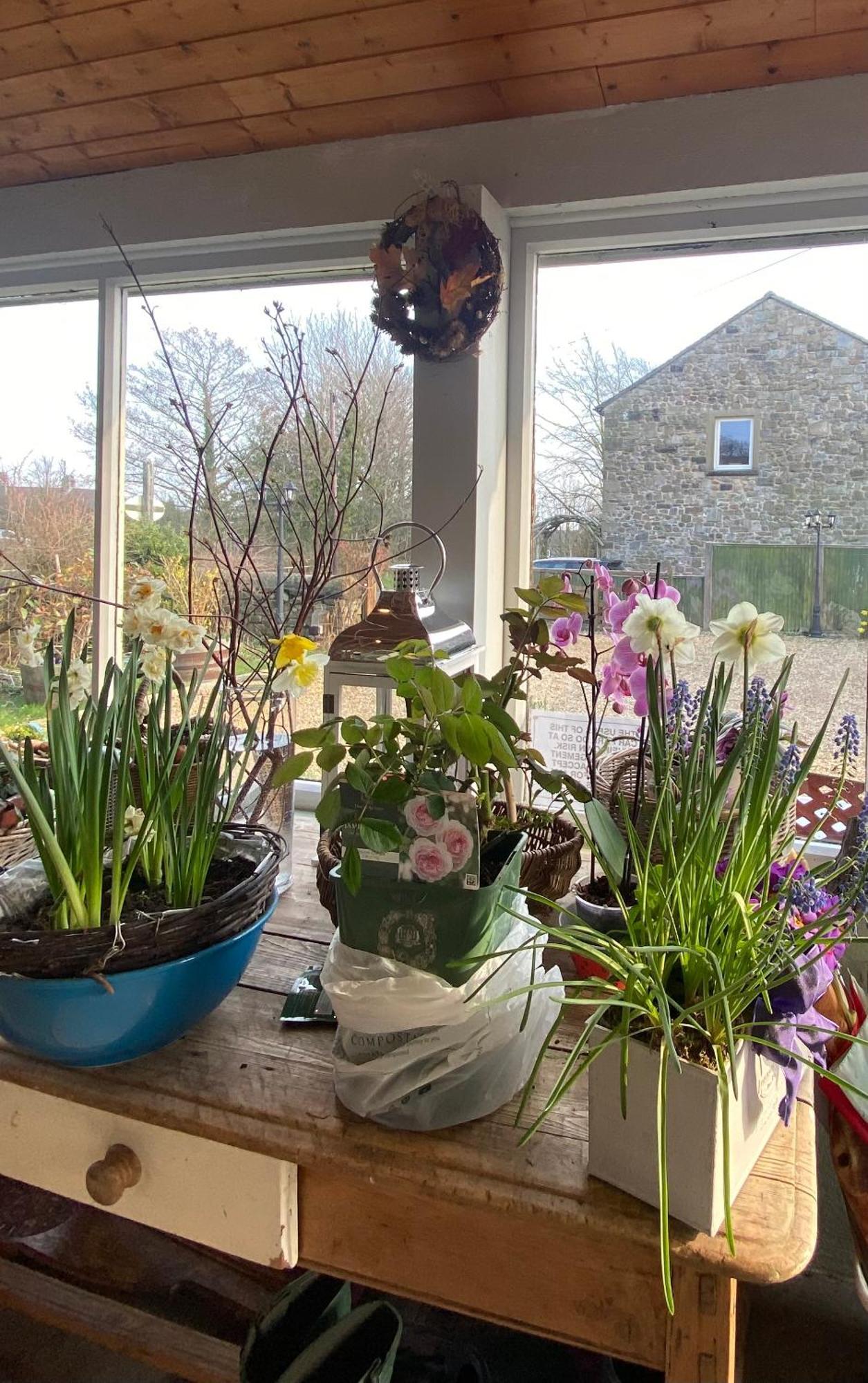 וודינגטון Chapel Cottage Clitheroe Road מראה חיצוני תמונה